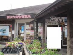 道の駅　下賀茂温泉湯の花