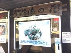 道の駅　下賀茂温泉湯の花