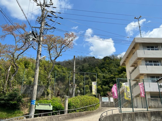 投稿写真6