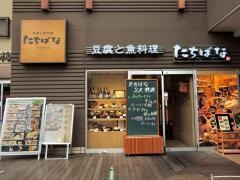 たちばな