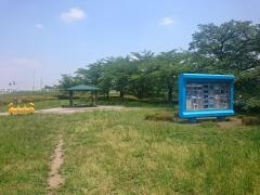 高麗川右岸環境側帯
