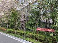 共立女子短期大学