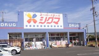 スーパードラッグシグマ花園店