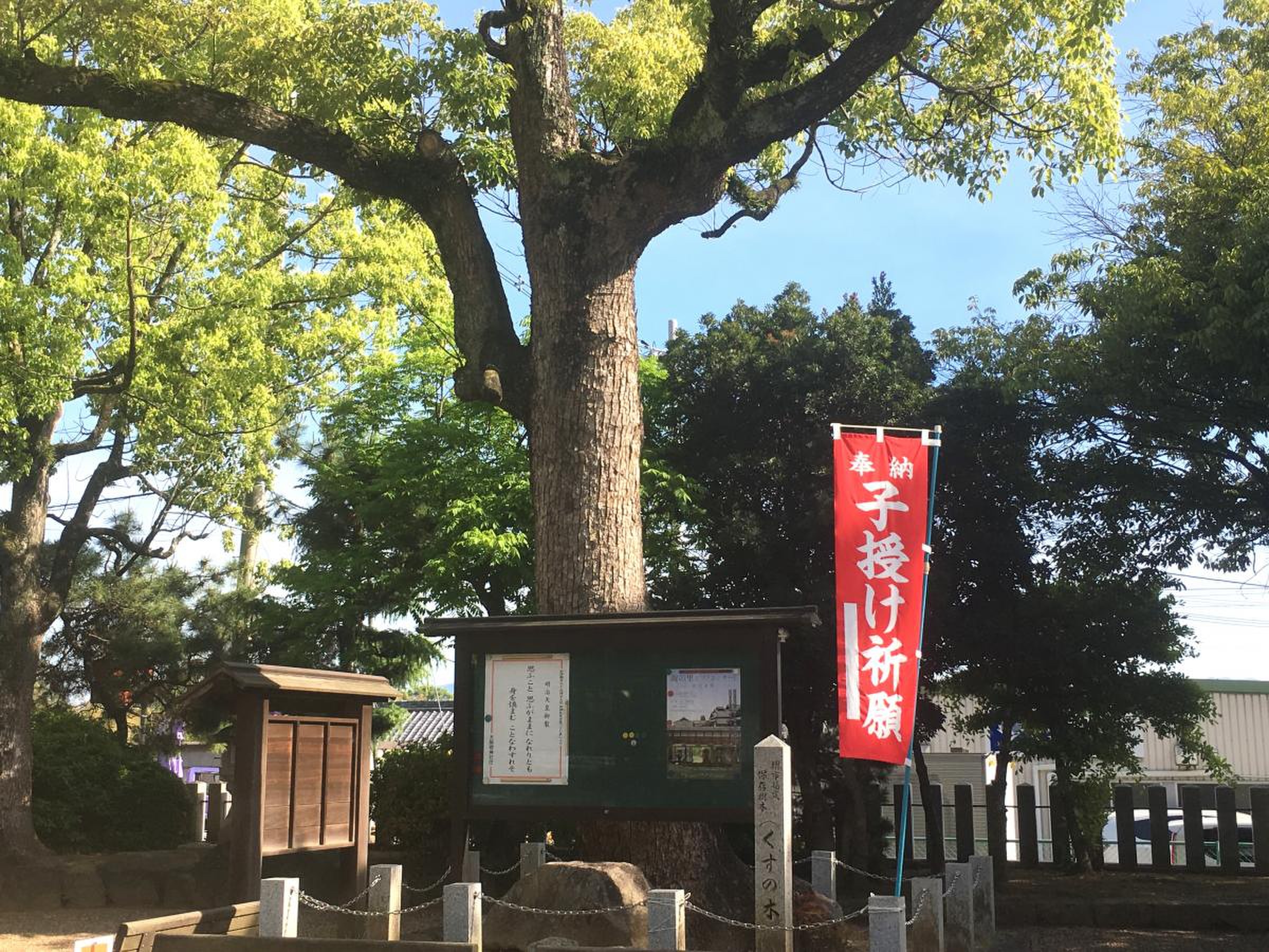 陶 荒田 神社