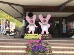グリーンエコー笠形