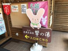 グリーンエコー笠形