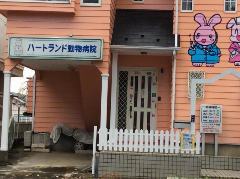 入口
