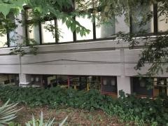 多摩美術大学大学院
