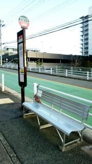 「東舞子小学校前」バス停留所