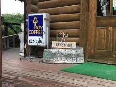 ぼだい樹