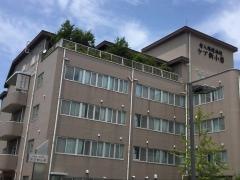 ケア新小岩