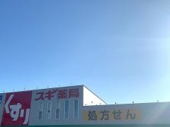 スギ薬局　四日市中央店