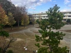 白井第一小学校