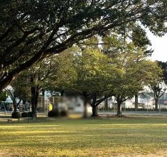 桜ケ丘公園
