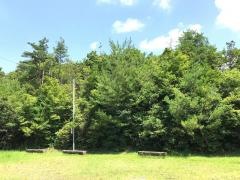 犬山前原台東緑地