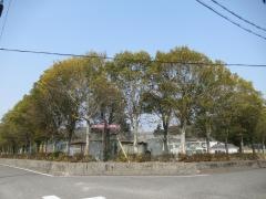 原小学校