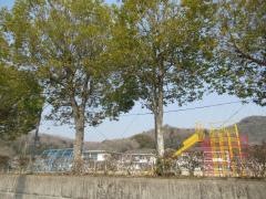 原小学校