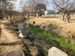 ポートアイランド南公園