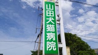 山田犬猫病院
