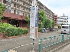 「第九小学校」バス停留所