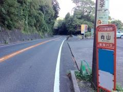 「向山(東伊豆町)」バス停留所