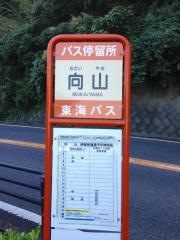 「向山(東伊豆町)」バス停留所