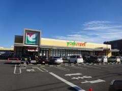 ヨークマート秦野緑町店