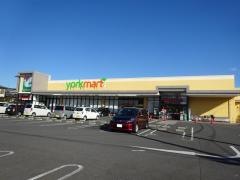 ヨークマート秦野緑町店