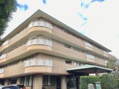 文京くすのきの郷