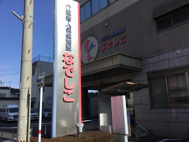 なでしこ