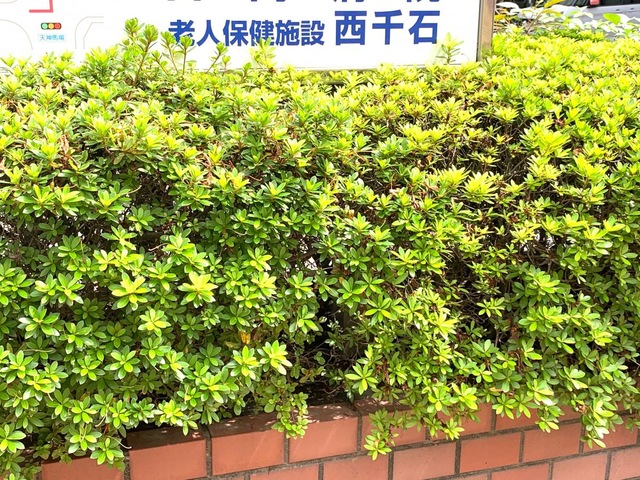 西千石