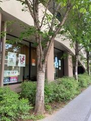 白金の丘学園　白金の丘小学校