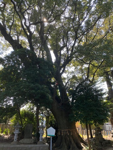 施設写真23