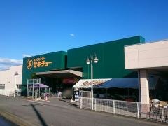 セキチュー高崎矢中店