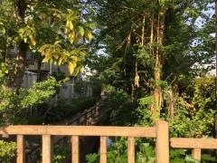 六辻水辺公園