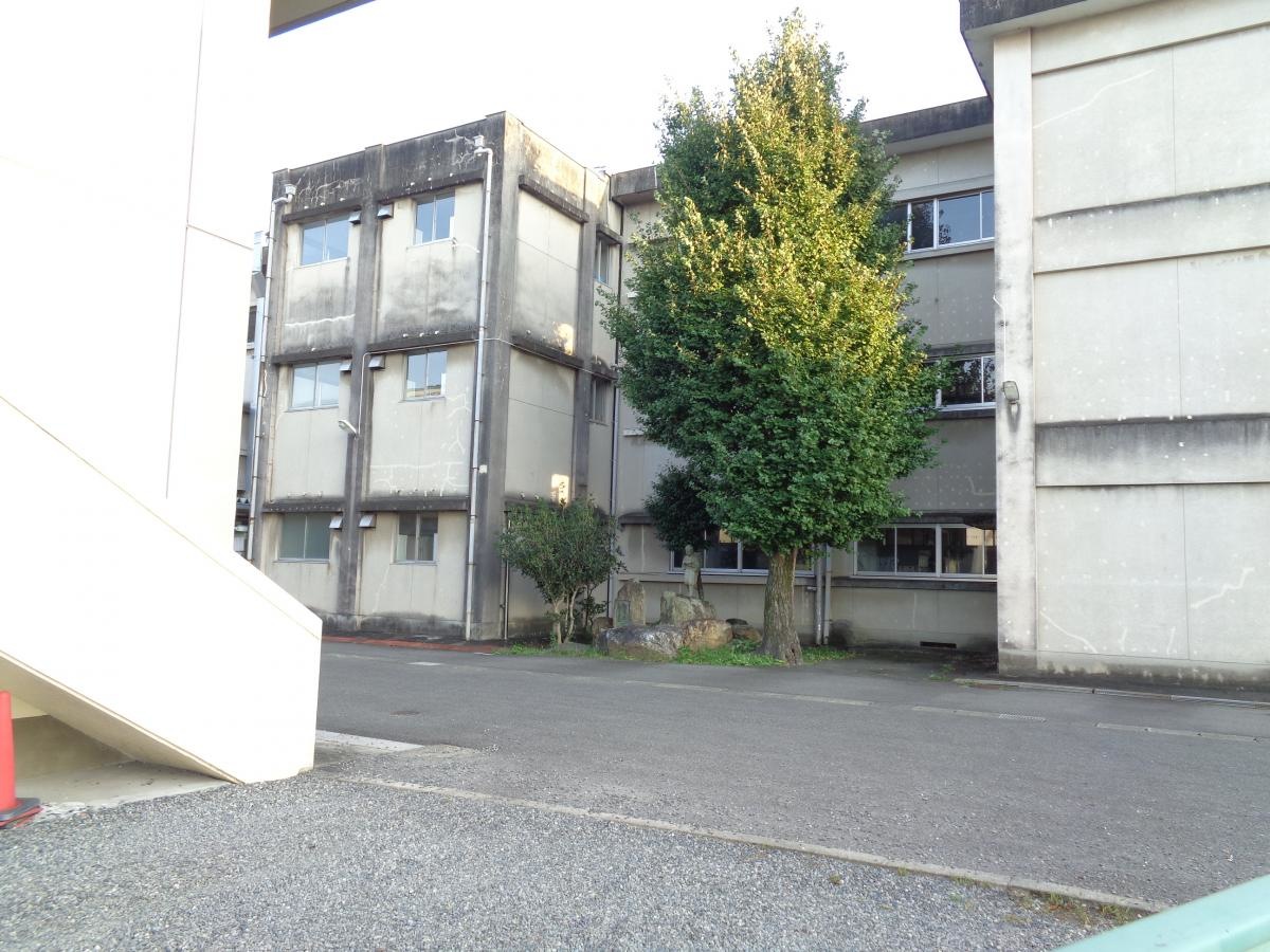 市橋小学校外観画像です
