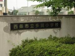 多賀小学校