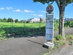 「青砥(西側)」バス停留所
