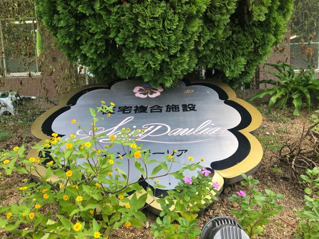 セントポーリア