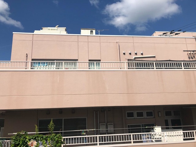 セントポーリア
