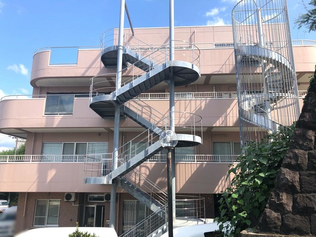 セントポーリア