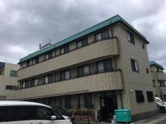 オアシス野並
