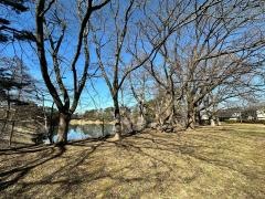 湯沢中央公園