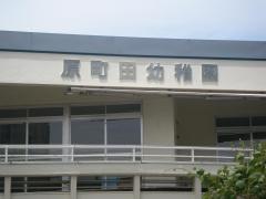原町田幼稚園