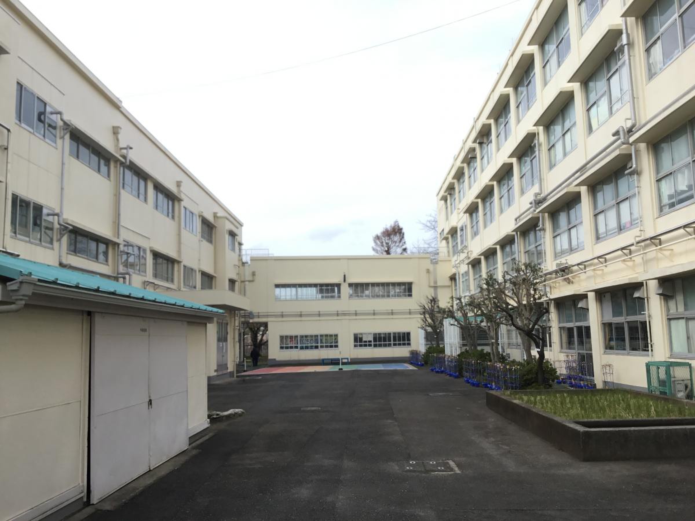 公の場での発言・インタビュー報道記録