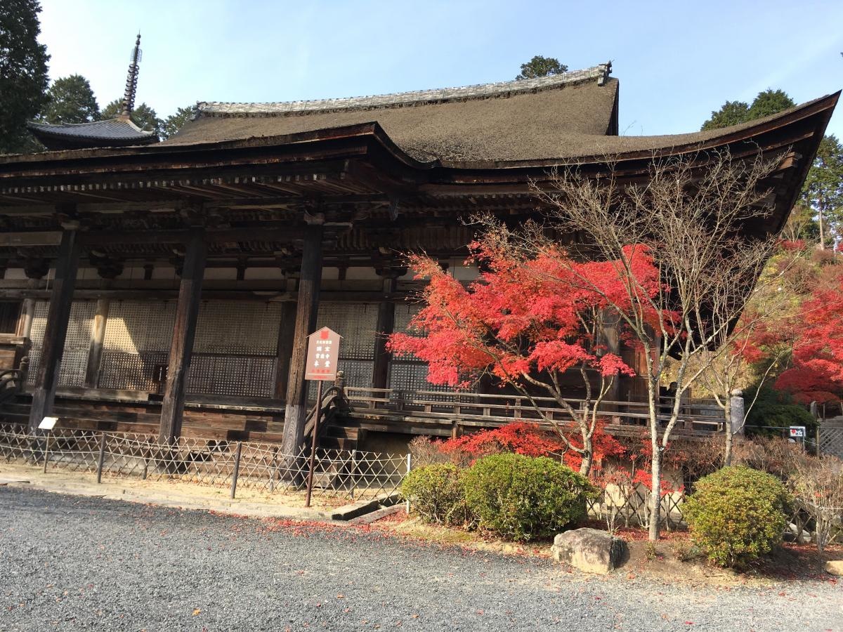 紅葉写真