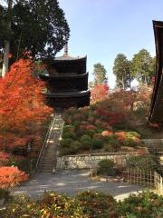常楽寺