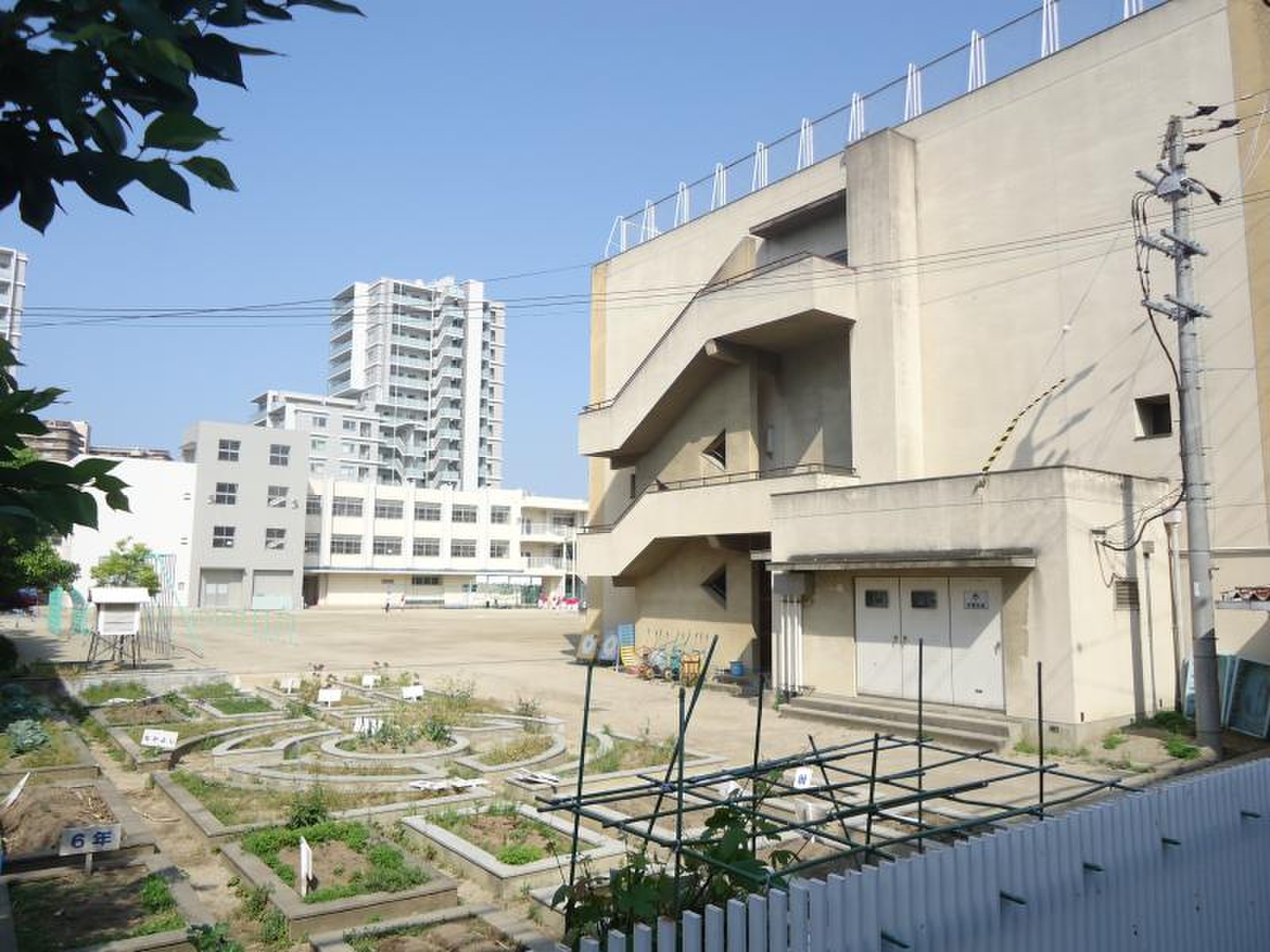 大阪 市立 新高 小学校