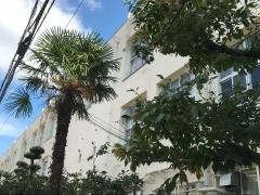 新高小学校