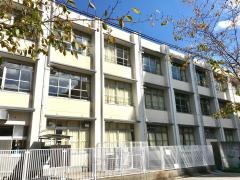 新高小学校